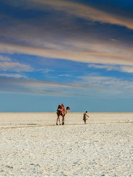 White Rann of Kutch, Dhordo